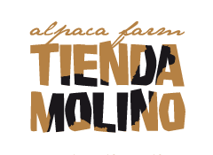 Black alpaca's - Tienda Molino